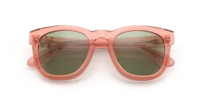 Classic Fox Sunglasses | Rosewater