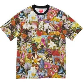 Supreme Dream S/S Top