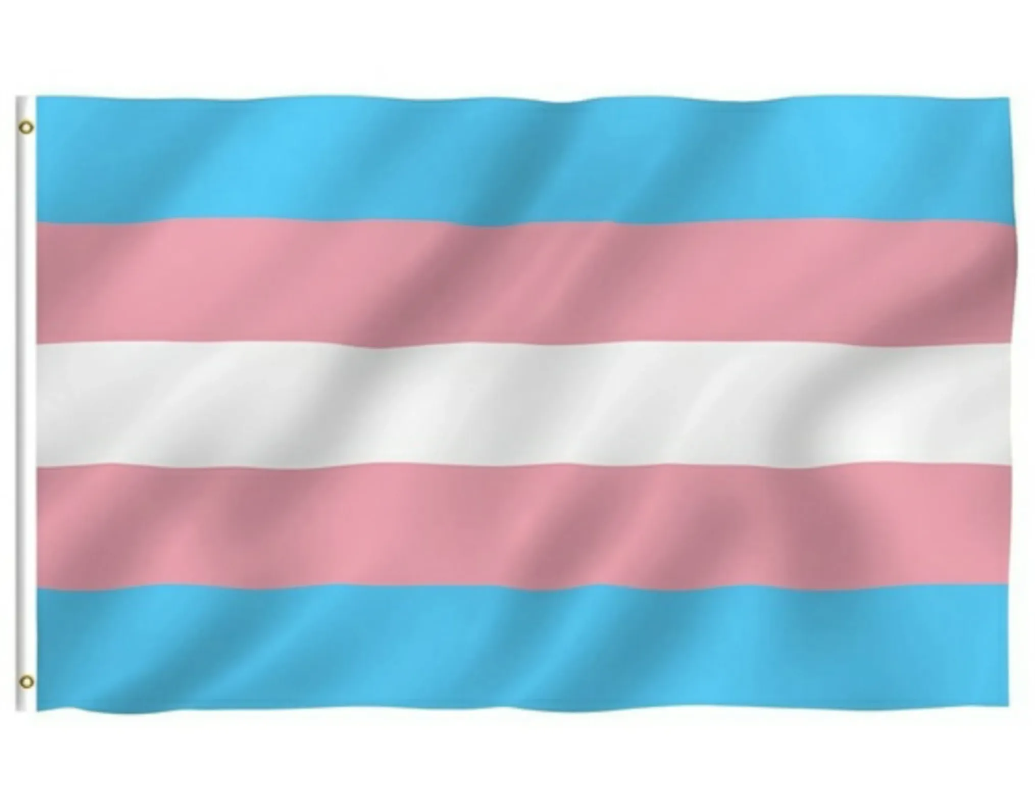 Transgender Flag