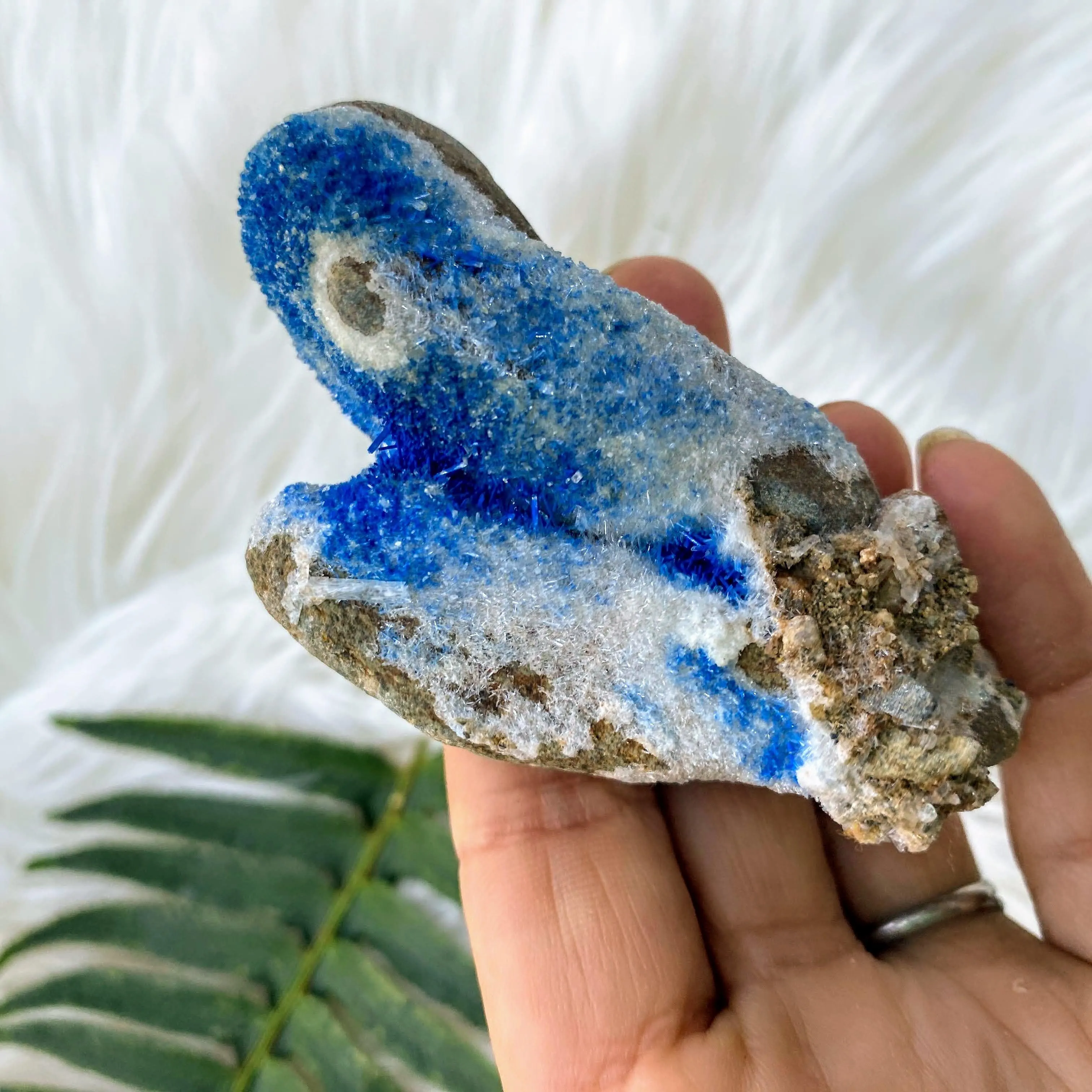 Very Rare Variety! Gemmy Dark Blue Azurite Druzy on Rock matrix from Mineral Creek, Arizona